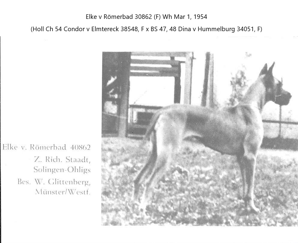 Elke v Romerbad